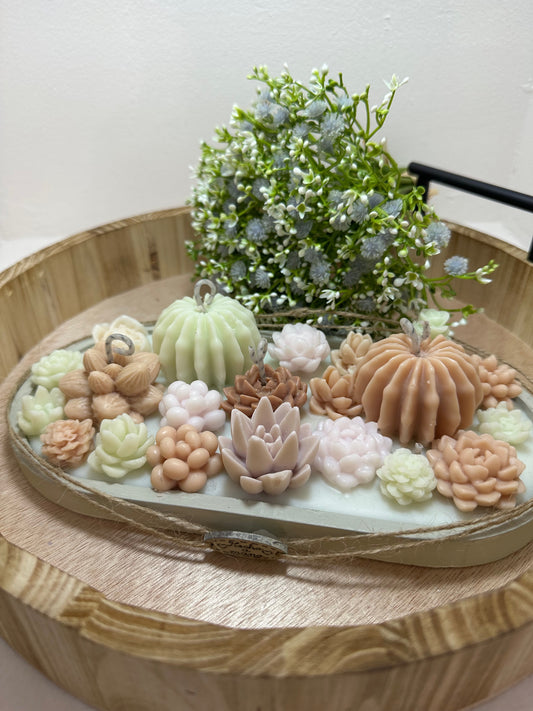 Velas jardín colección bambú