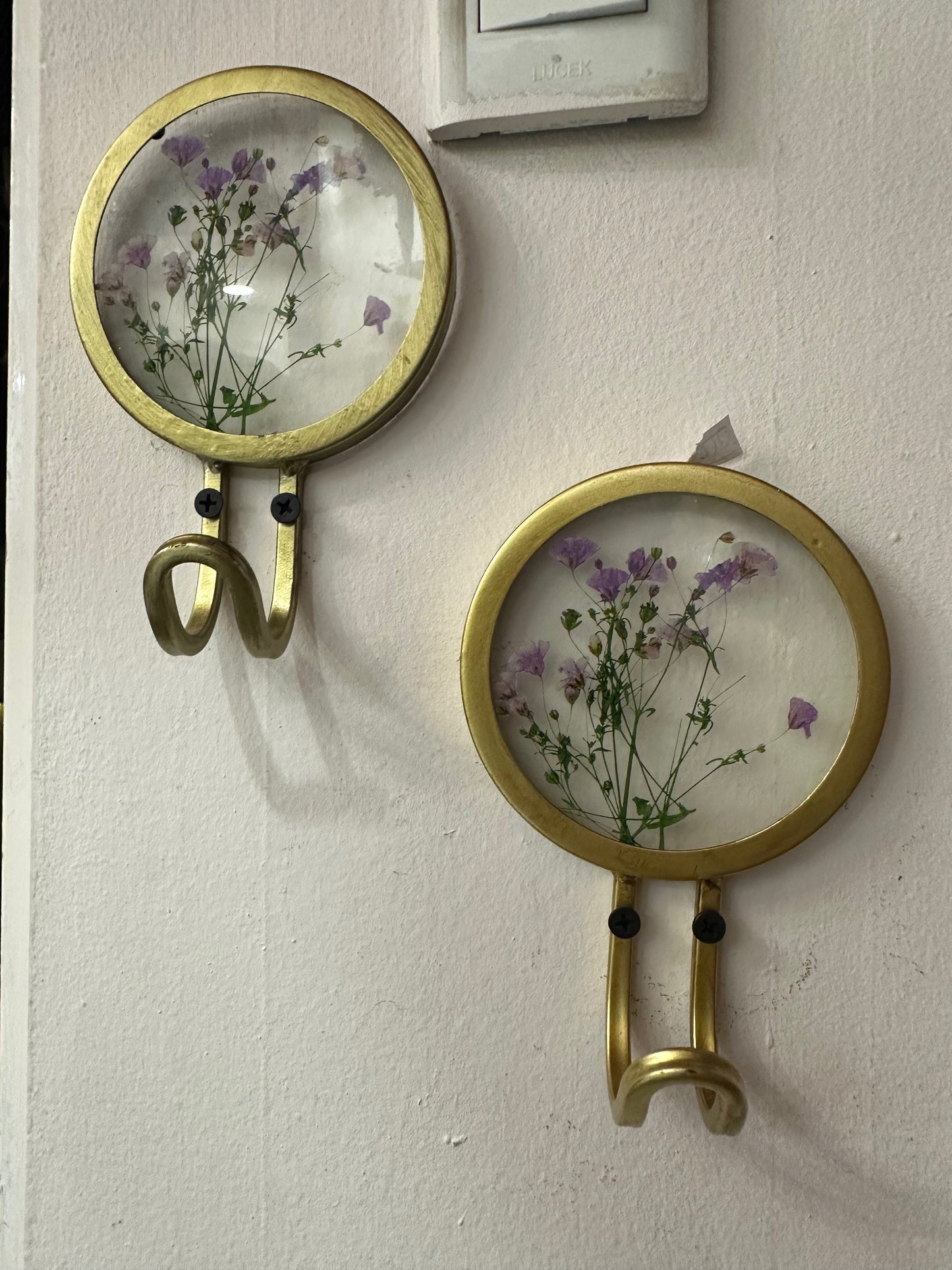 Percheros naturaleza encapsulada