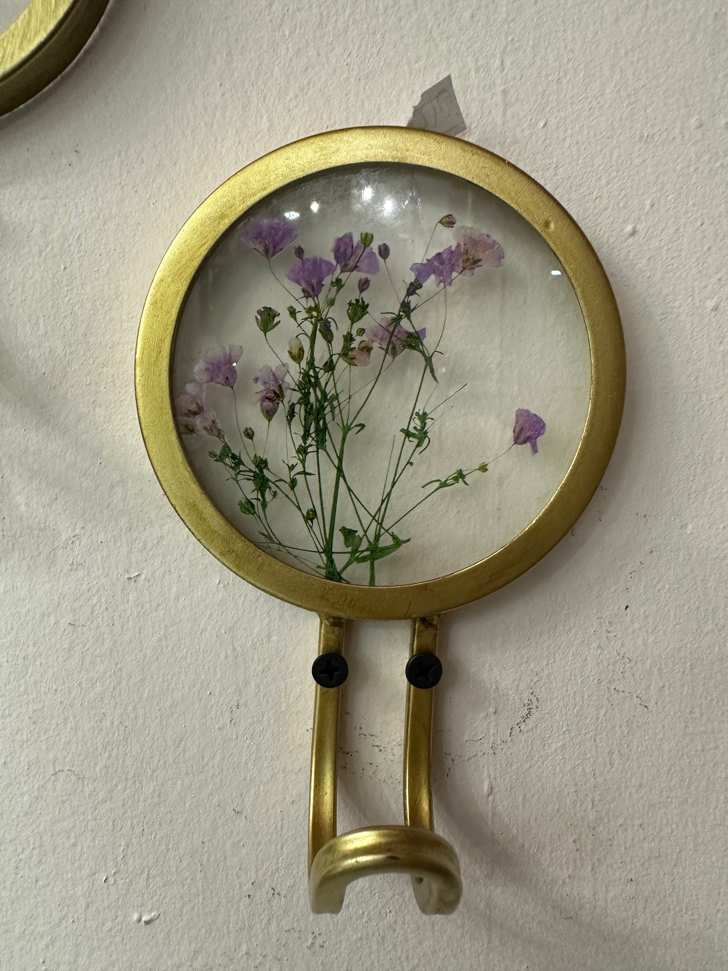 Percheros naturaleza encapsulada